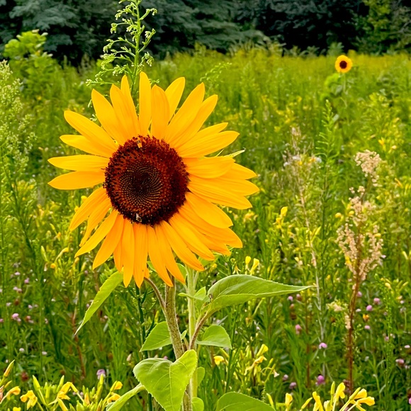 Meet your Posher, Kimmberly - Picture 1 of 1